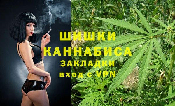 стаф Медногорск