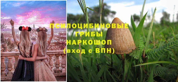 стаф Медногорск