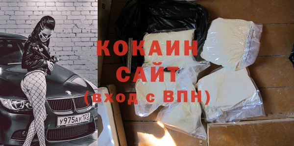 стаф Медногорск