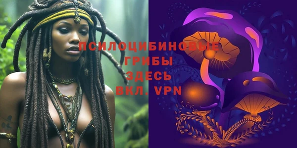 бутират Мегион