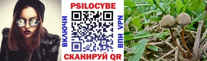 KRAKEN ссылка  Приморско-Ахтарск  Псилоцибиновые грибы ЛСД  как найти наркотики 
