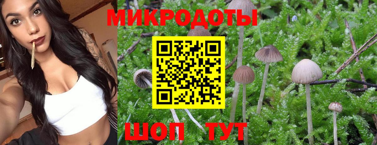 Псилоцибиновые грибы Magic Shrooms Приморско-Ахтарск