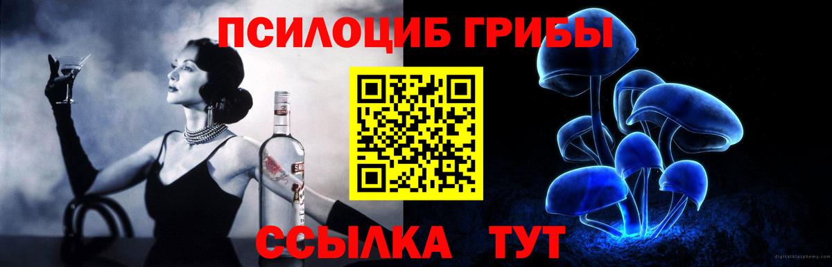 Приморско-Ахтарск  Псилоцибиновые грибы Psilocybe  Вход с VPN 